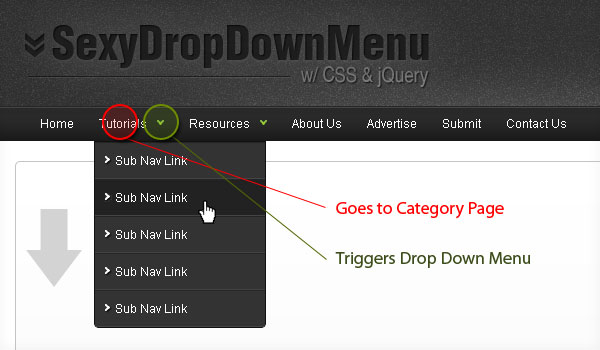 Drop Down Menuu w/ CSS & jQuery