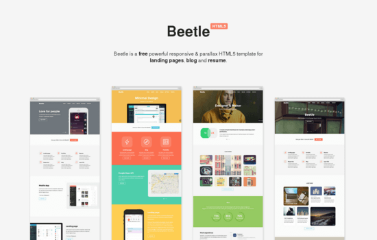 Beetle: Responsive HTML Template
