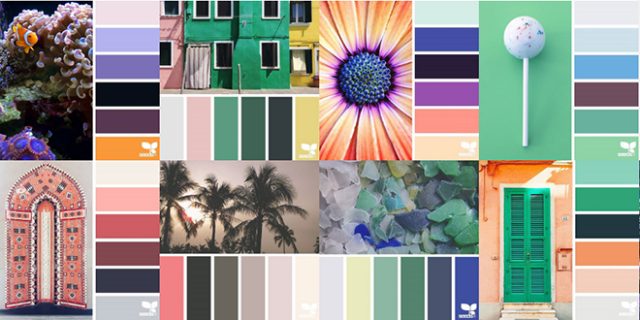 Design Seeds: Daily Inspiration From Photos and Colors | NOUPE