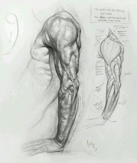 realistic human sketches